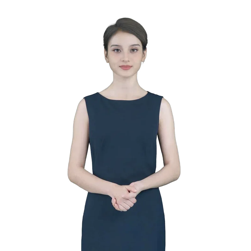 Meg, a virtual presenter in the VidifyAI collection